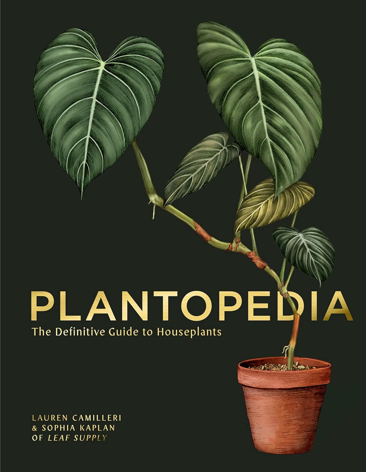 Plantopedia: The   Guide to House Plants