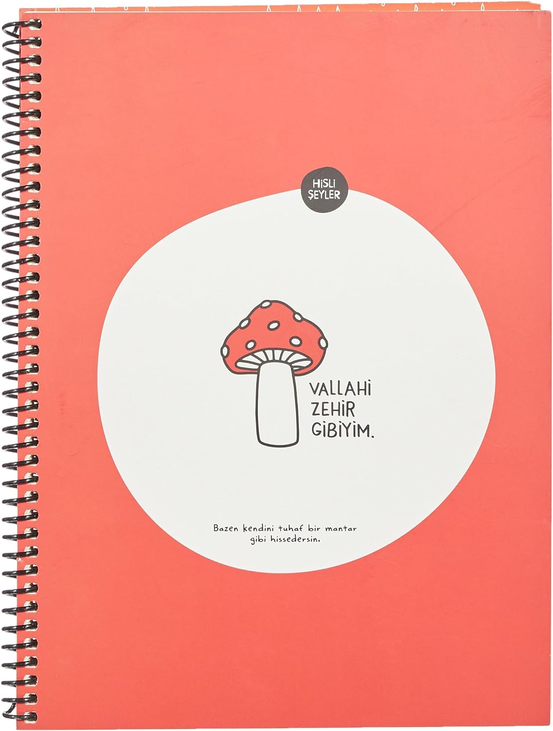 80 Yaprak Kareli Hafif Kağıt Stickerli Defter, Zehir Gibiyim, 18.5x25cm